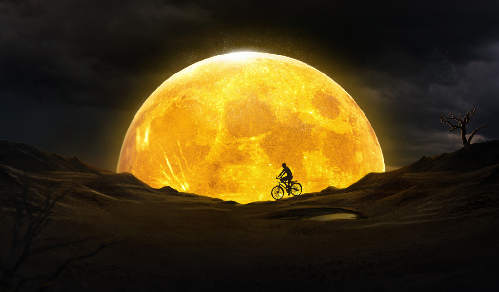 Мужчина на велосипеде едет на фоне большой оранжевой луны 