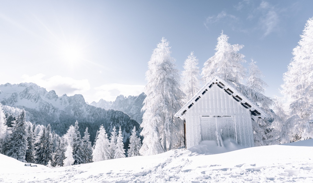Заледеневший дом в покрытом снегом лесу
