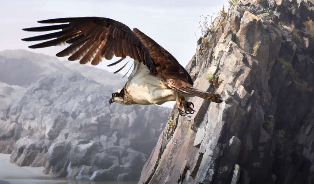 Большой хищный сокол летит у горы 