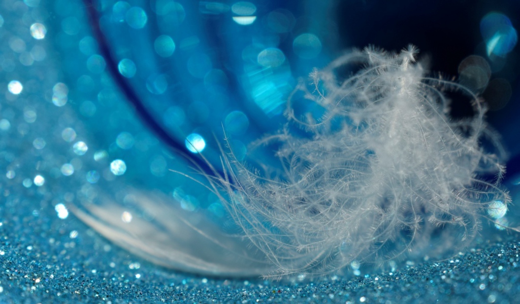 Белое легкое перо лежит на блестящей голубой поверхности 