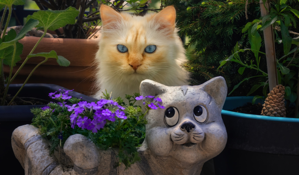 Голубоглазый рыжий кот прячется за садовой фигурой 