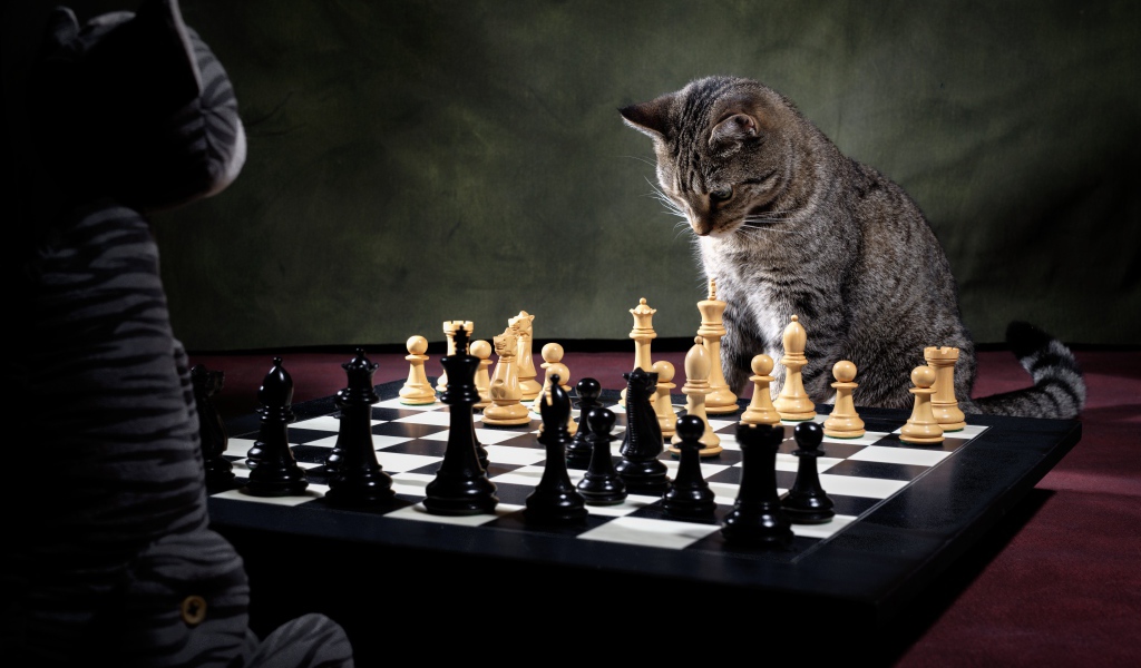 Серый кот играет в шахматы 