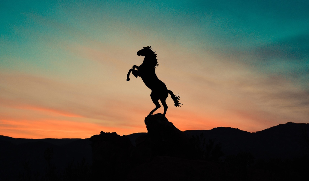 Силуэт коня на вершине горы на закате 
