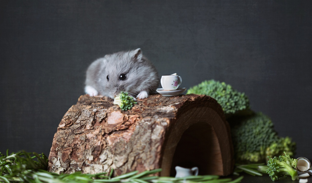 Маленький мышонок на столе с брокколи и розмарином 