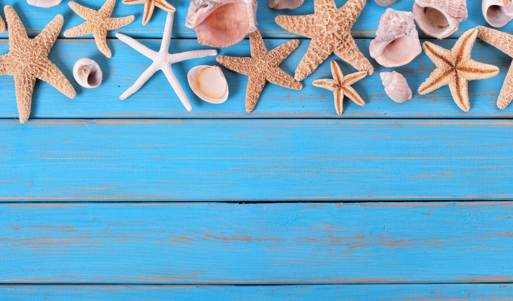 Ракушки и морские звезды на голубом деревянном фоне