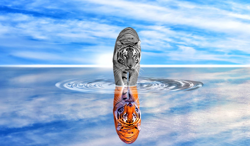 Тигр отражается в воде на фоне голубого неба 