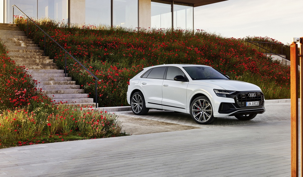 Белый автомобиль Audi Q8 60 TFSI E Quattro S Line 2020 года