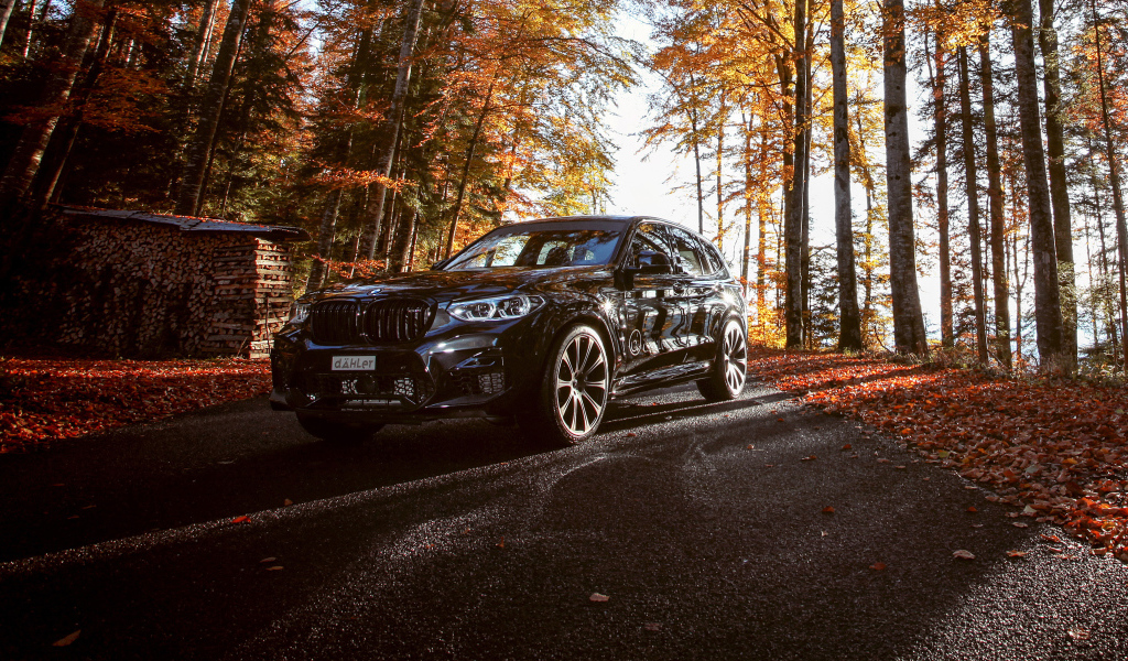 Черный автомобиль BMW X3 M Competition Line 2019 года в осеннем лесу