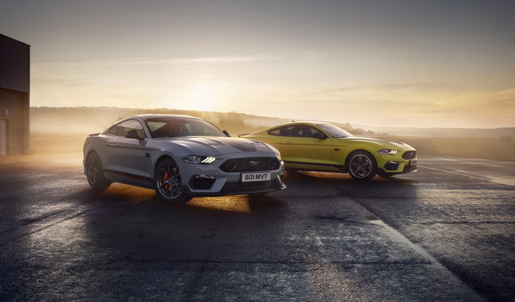 Два автомобиля Ford Mustang Mach 1 2021 года туманным утром