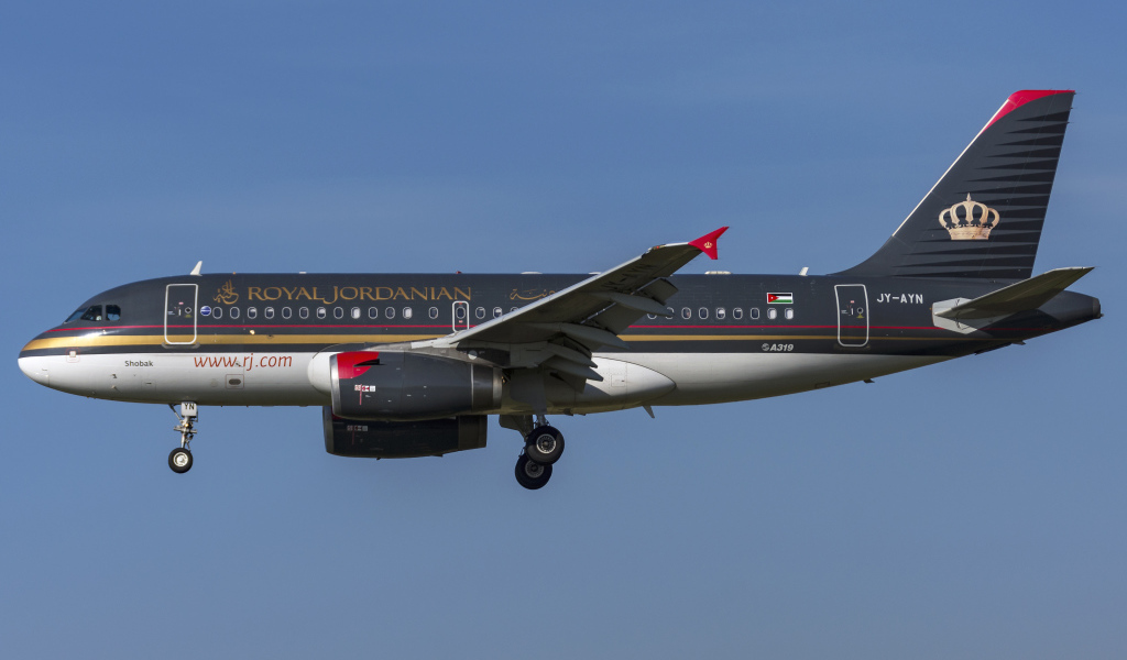 Пассажирский  Airbus A319-100 авиакомпании  Royal Jordanian в небе 
