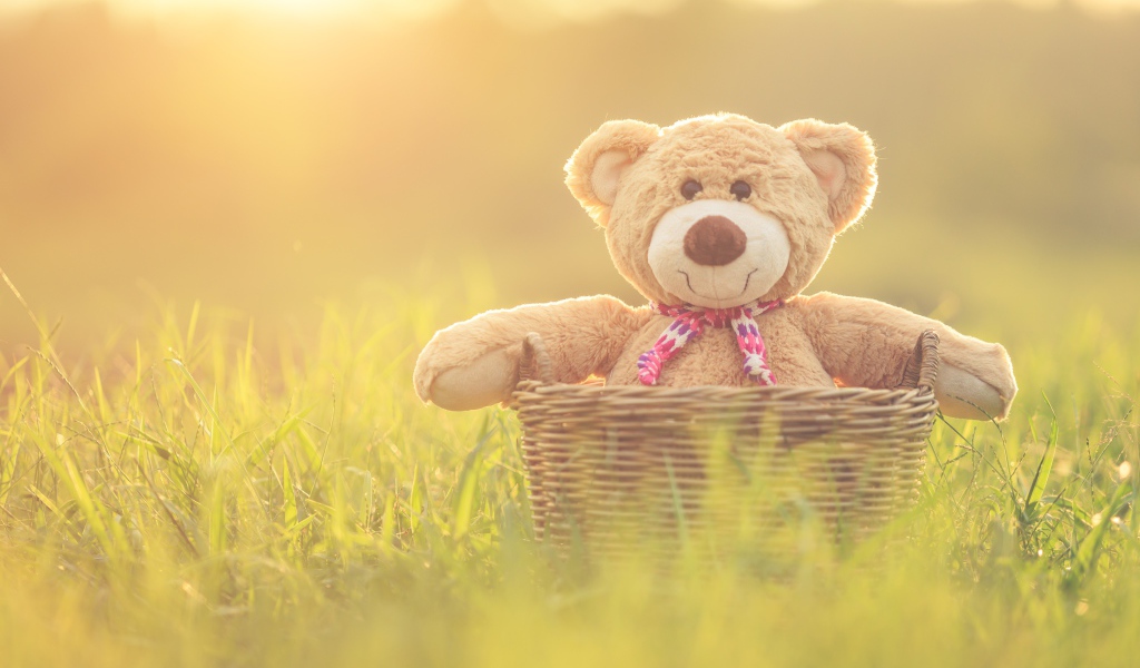 Плюшевый медведь в корзине стоит на зеленой траве