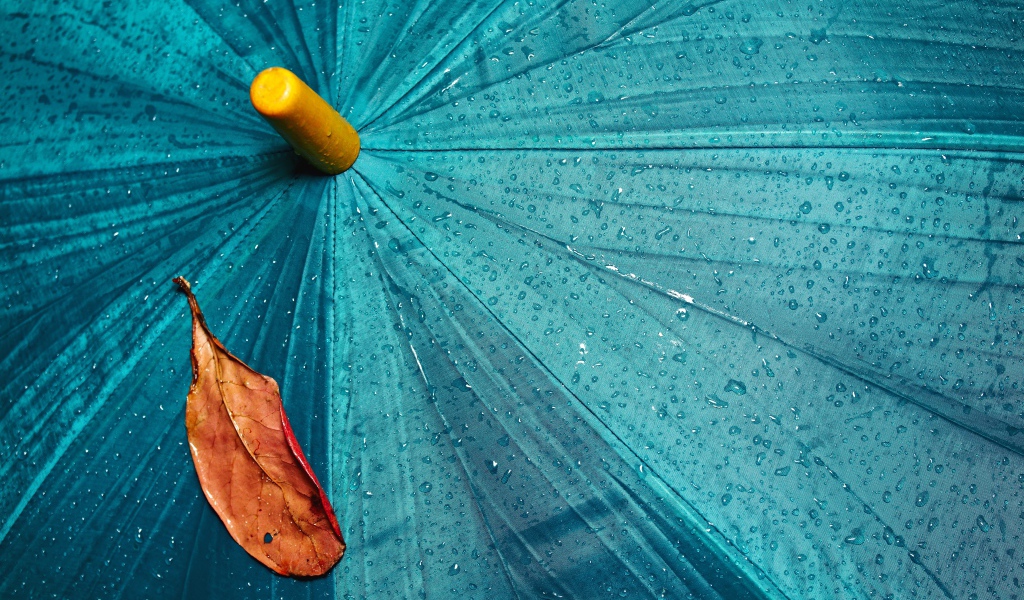 Желтый лист лежит на голубом мокром зонте