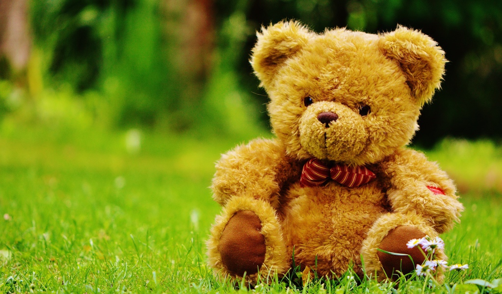Красивый плюшевый медведь на зеленой траве 