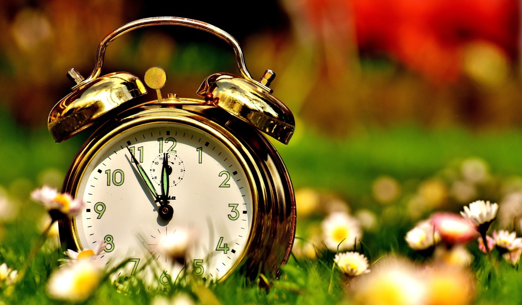 Золотистый будильник стоит на траве с маргаритками 