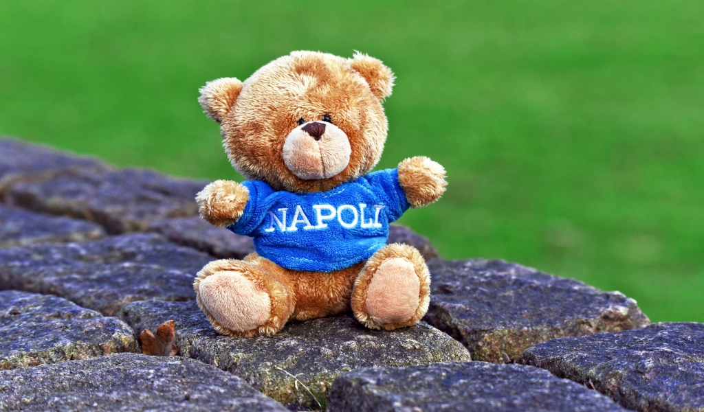 Маленький игрушечный медвежонок сидит на камнях 