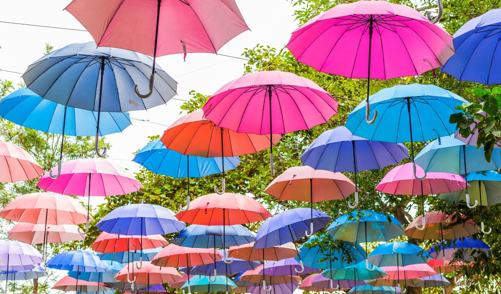 Много разноцветных зонтов в парке 