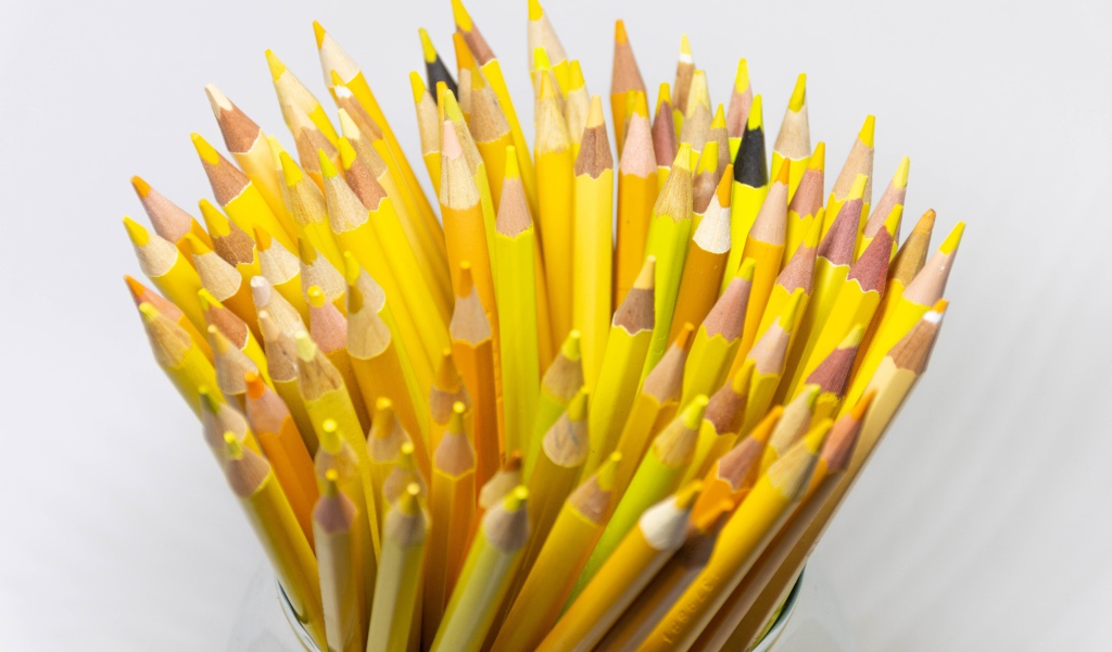 Много желтых карандашей на белом фоне крупным планом