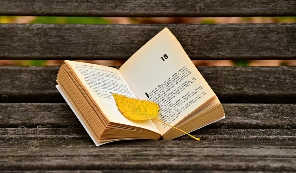 Открытая книга с желтым листом на лавке 