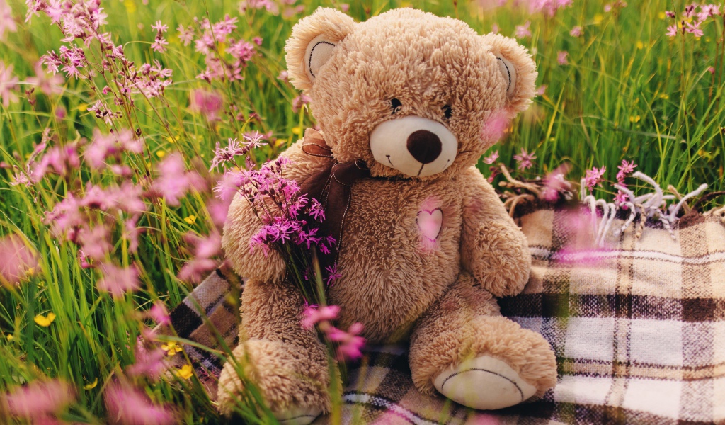 Медвежонок Тедди сидит в зеленой траве 