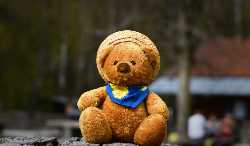 Плюшевый медвежонок в шляпе на земле 