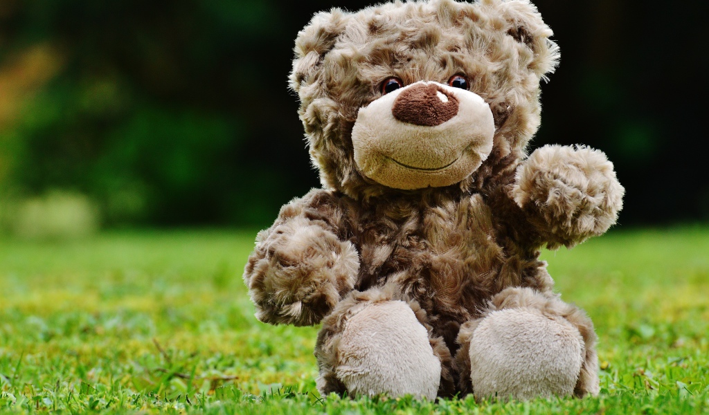 Игрушечный медвежонок сидит на зеленой траве