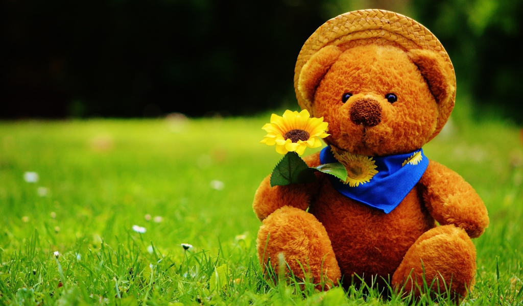 Мишка Тедди с цветком сидит на зеленой траве