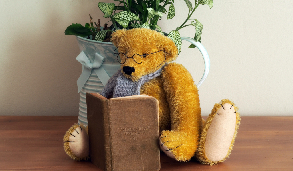 Медвежонок Тедди в очках с книгой на полке