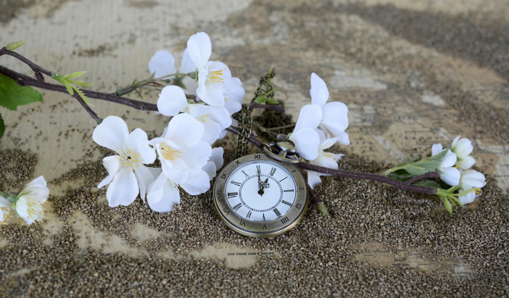 Часы лежат на земле с цветущей веткой 