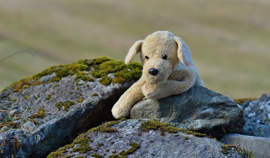 Toy dog lies on a stone