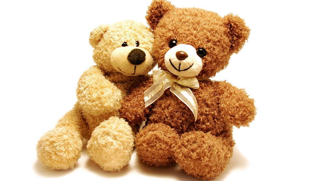 Two teddy bears on a white background