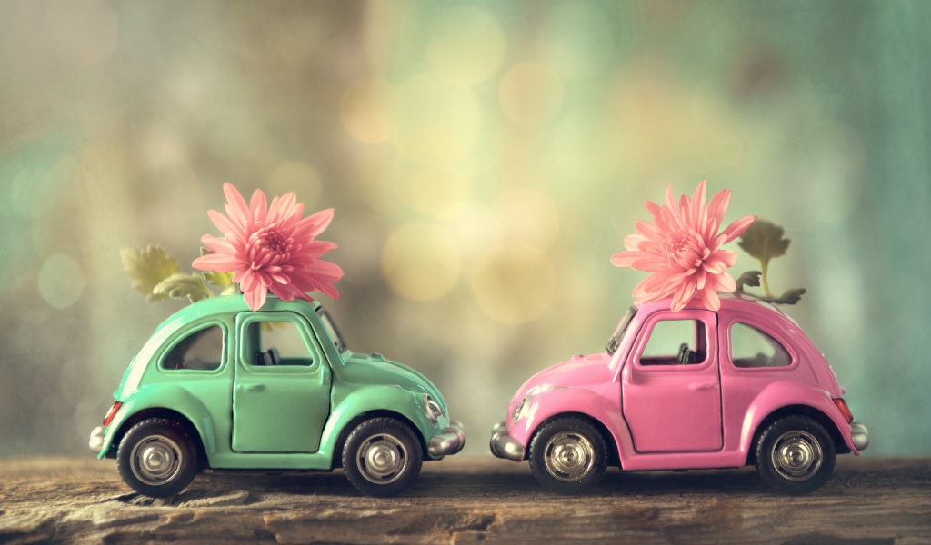 Две игрушечные машинки с цветами розовой хризантемы