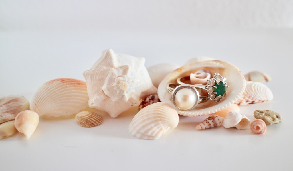 Кольца и ракушки на белом фоне