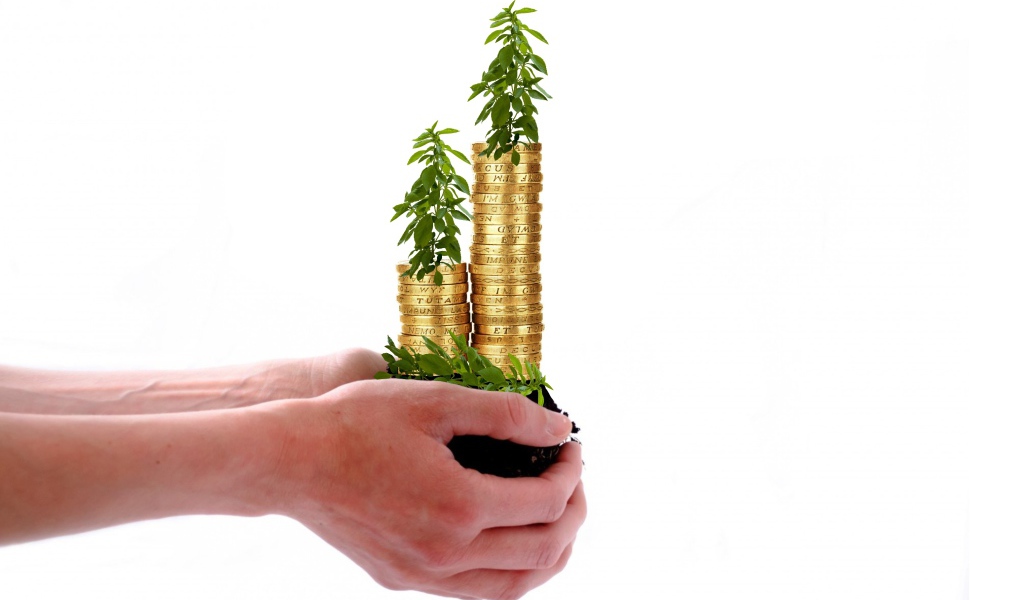 Монеты с зелеными ростками в руках на белом фоне 