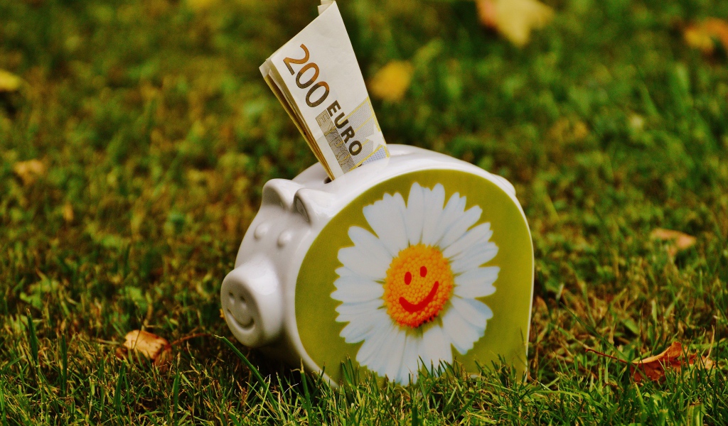 Купюры евро вставлены в свинью копилку с рисунком ромашки