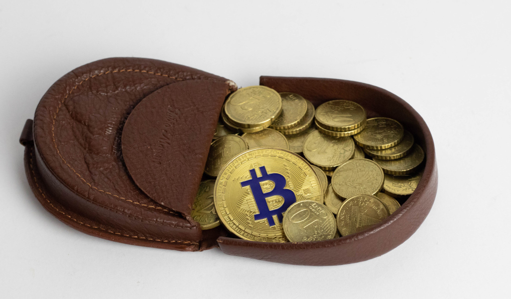 Кожаный кошелек с монетами на сером фоне