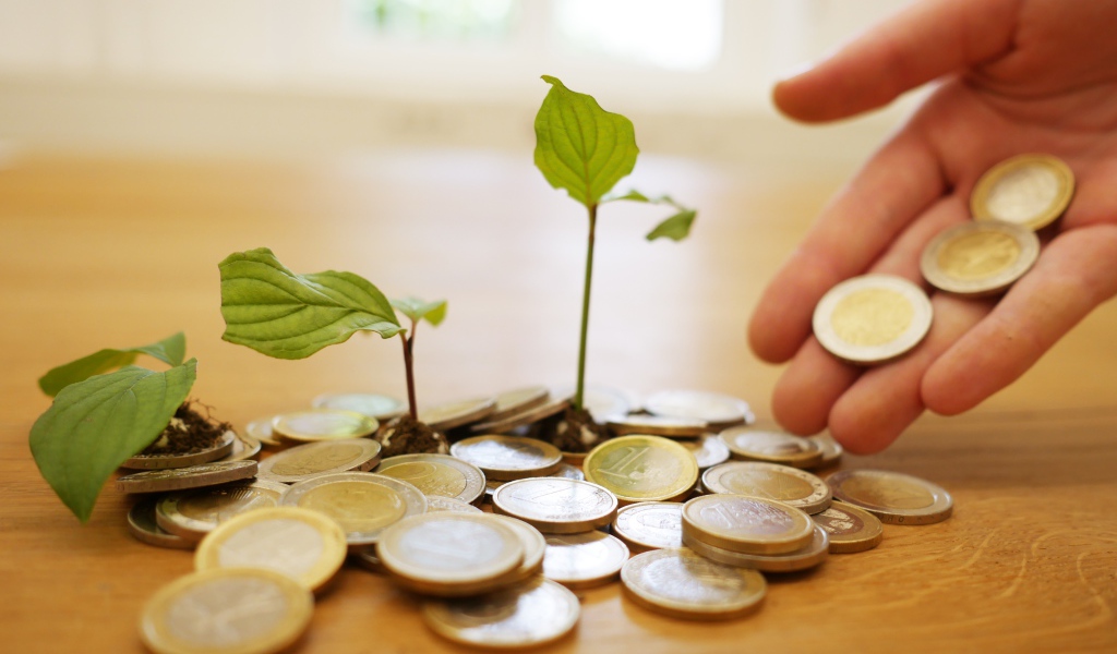 Монеты один евро с ростками на столе 