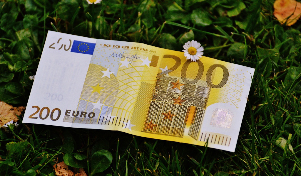 Two hundred euro bill lies on green grass
