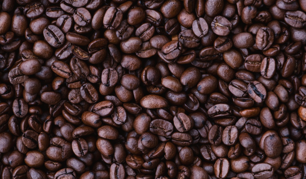 Ароматные зерна кофе арабика 