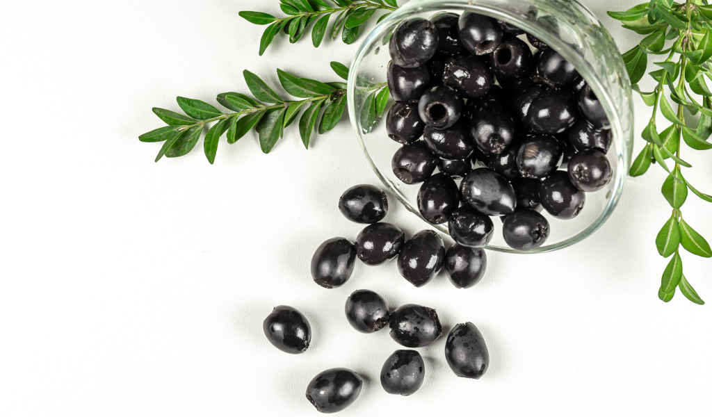 Черные маслины с розмарином на белом фоне
