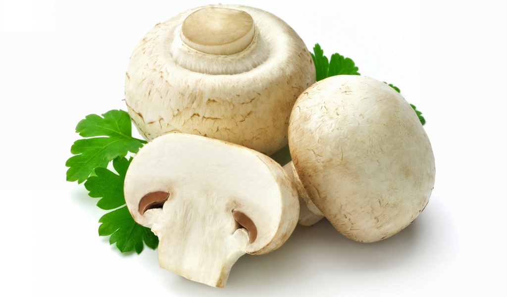 Fresh champignons on a white plate with parsley