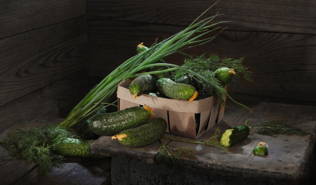 Свежие огурцы на столе  с зеленым луком и укропом
