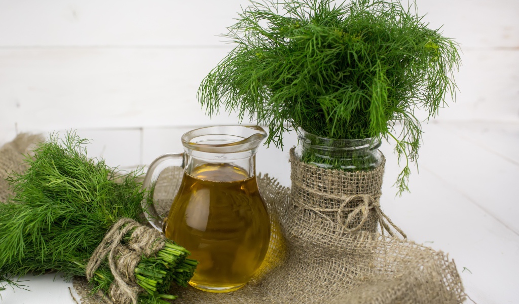 Fresh dill on a table with olive oil