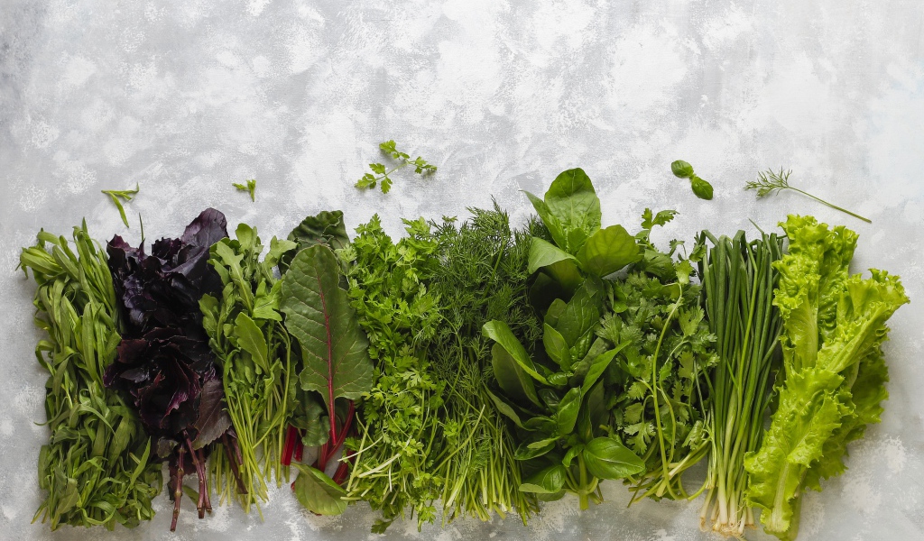 Свежая ароматная зелень на столе 