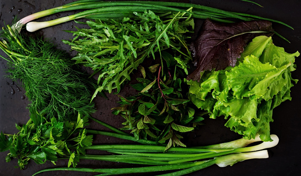 Свежая мокрая зелень лежит на столе 