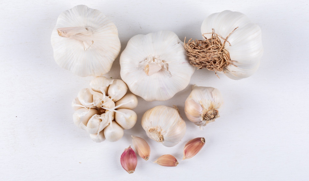Garlic on white background close up