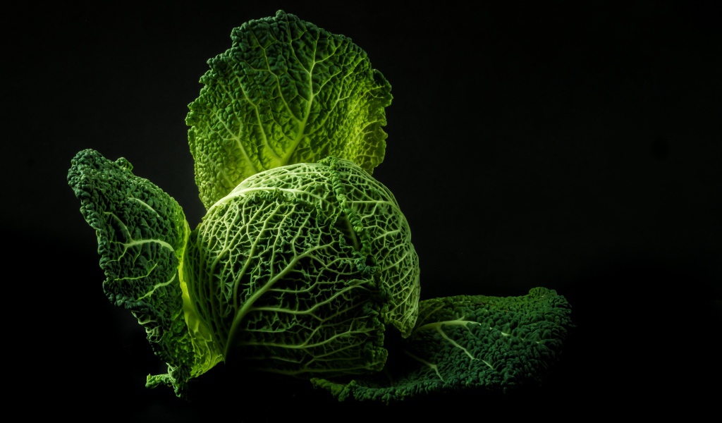 Зеленая капуста на черном фоне крупным планом