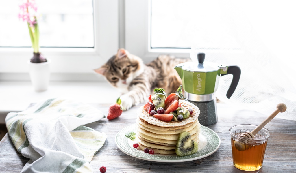 Блины на столе с ягодами, медом и котом 