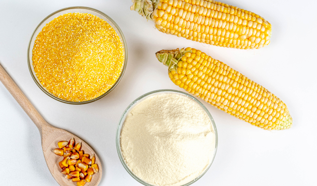 Два початка кукурузы на белом фоне с крупой и мукой 