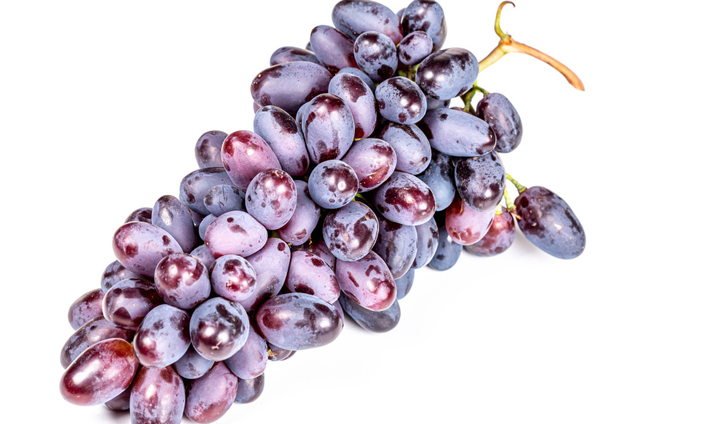 Гроздь синего винограда на белом фоне крупным планом