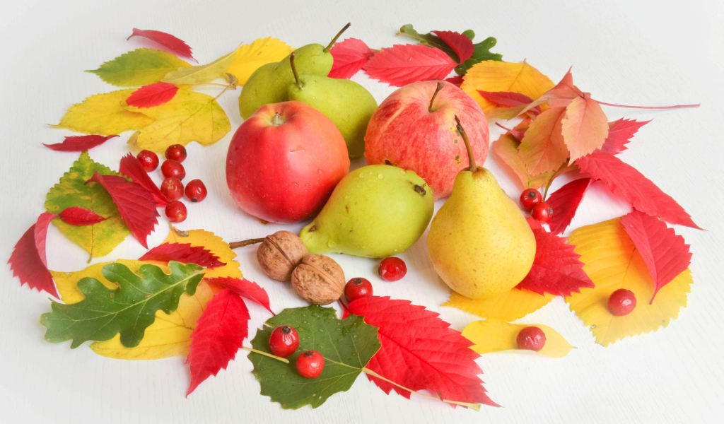 Яблоки и груши с опавшими листьями на белом фоне